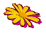 vorschau001003.gif