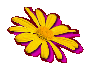 vorschau001009.gif
